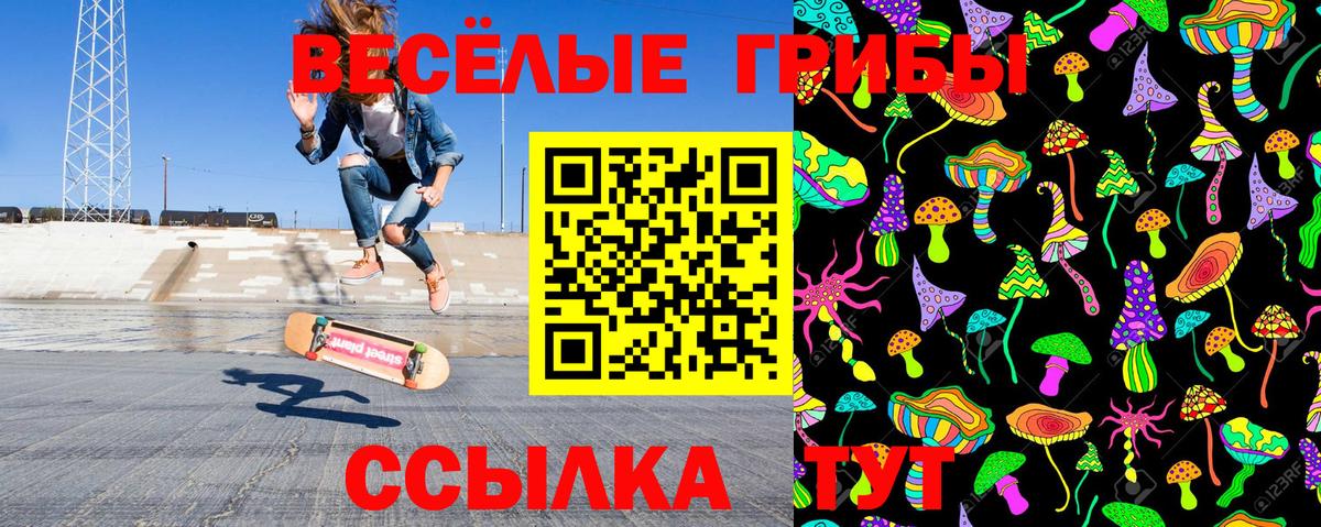 Псилоцибиновые грибы Cubensis Ростов Великий