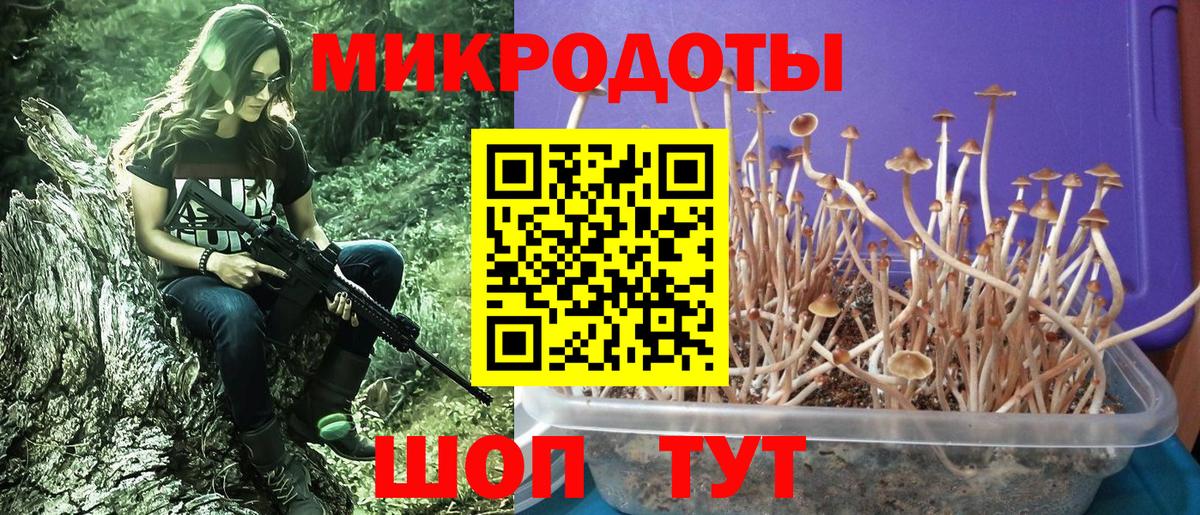 Меф Ростов Великий